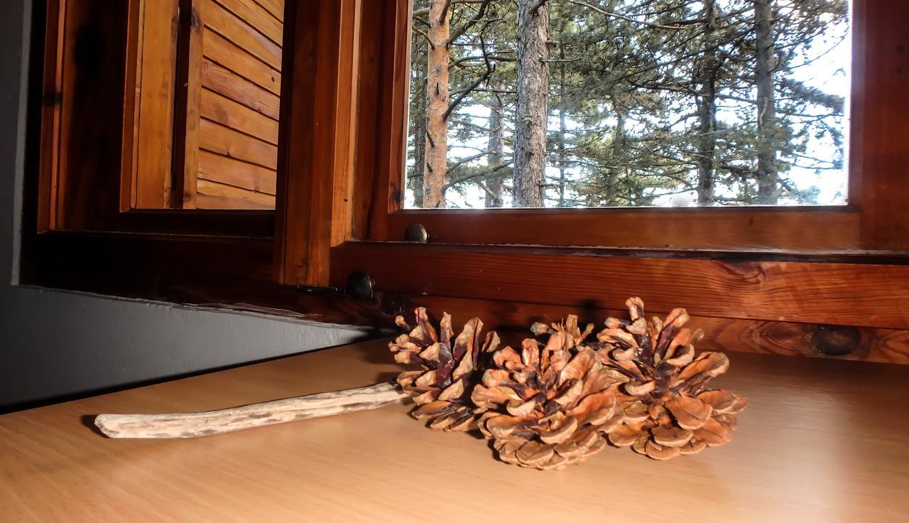 Rustic Home Tara Kaludjerske Bare Exterior photo